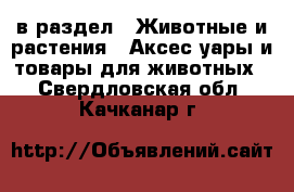  в раздел : Животные и растения » Аксесcуары и товары для животных . Свердловская обл.,Качканар г.